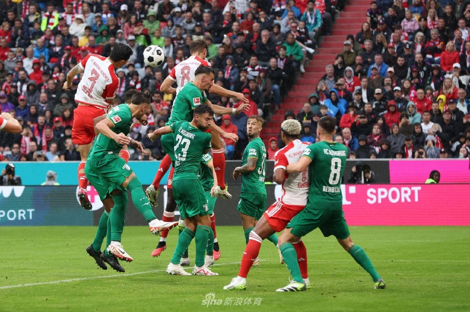 曾有类似情 曾有类似情