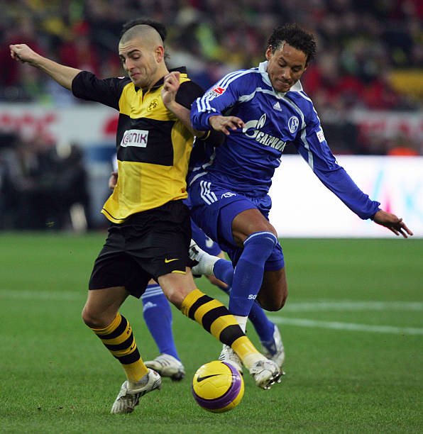 斯的引进 斯的引进